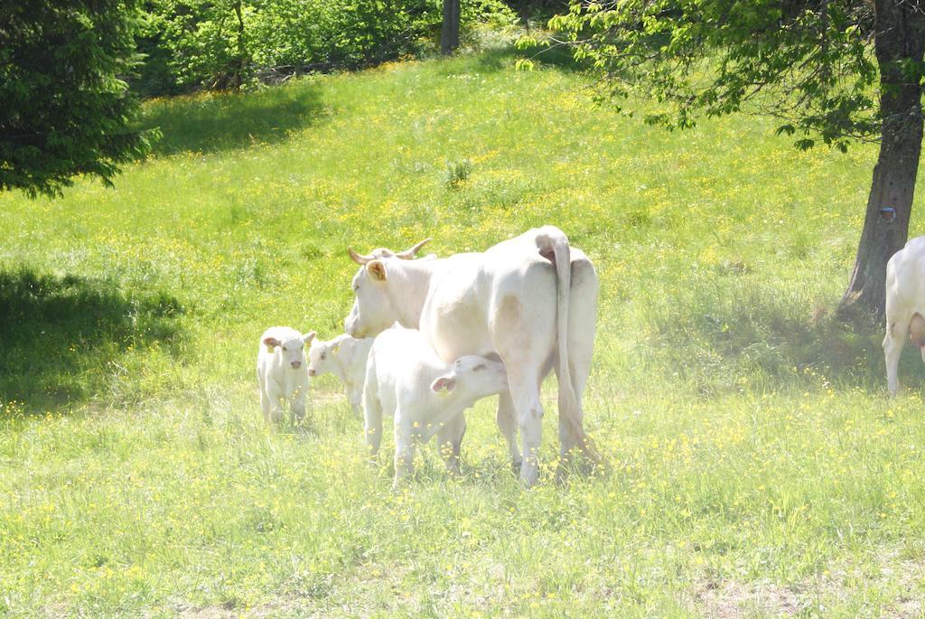 Vila Grundnerhof Arriach Exteriér fotografie