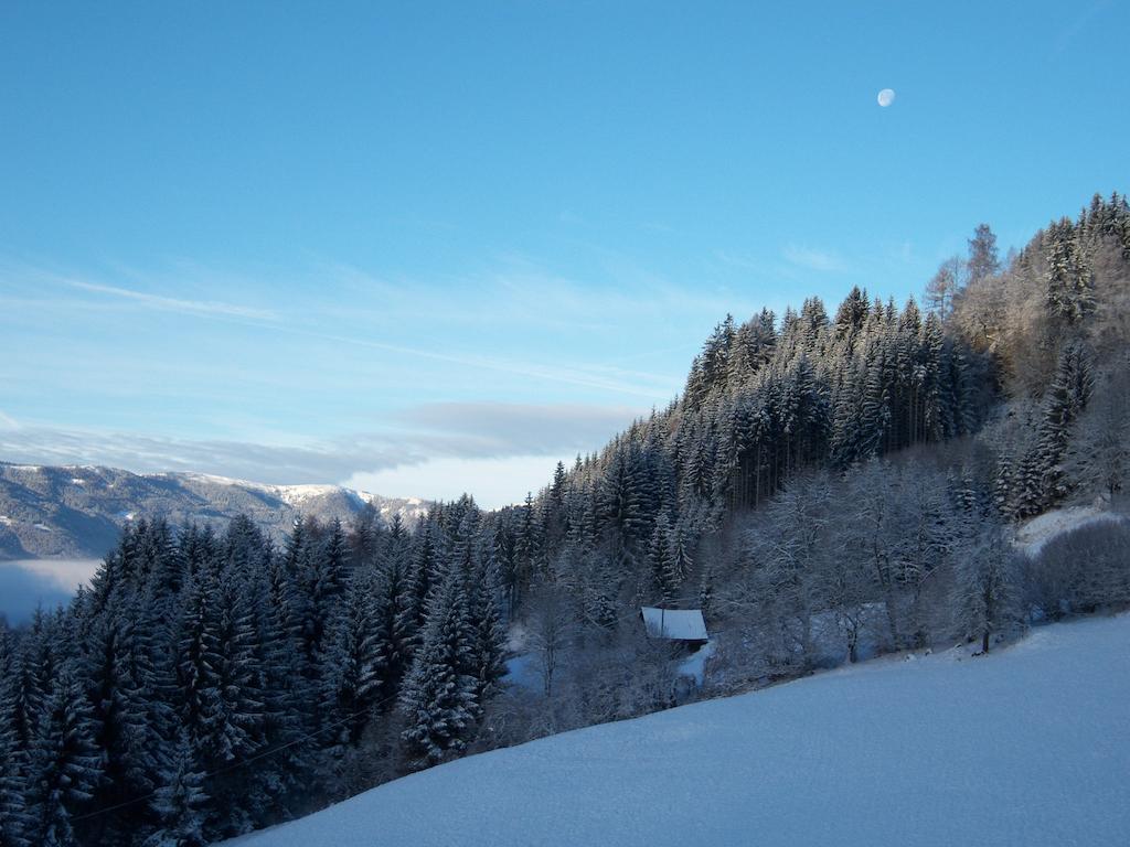 Vila Grundnerhof Arriach Exteriér fotografie