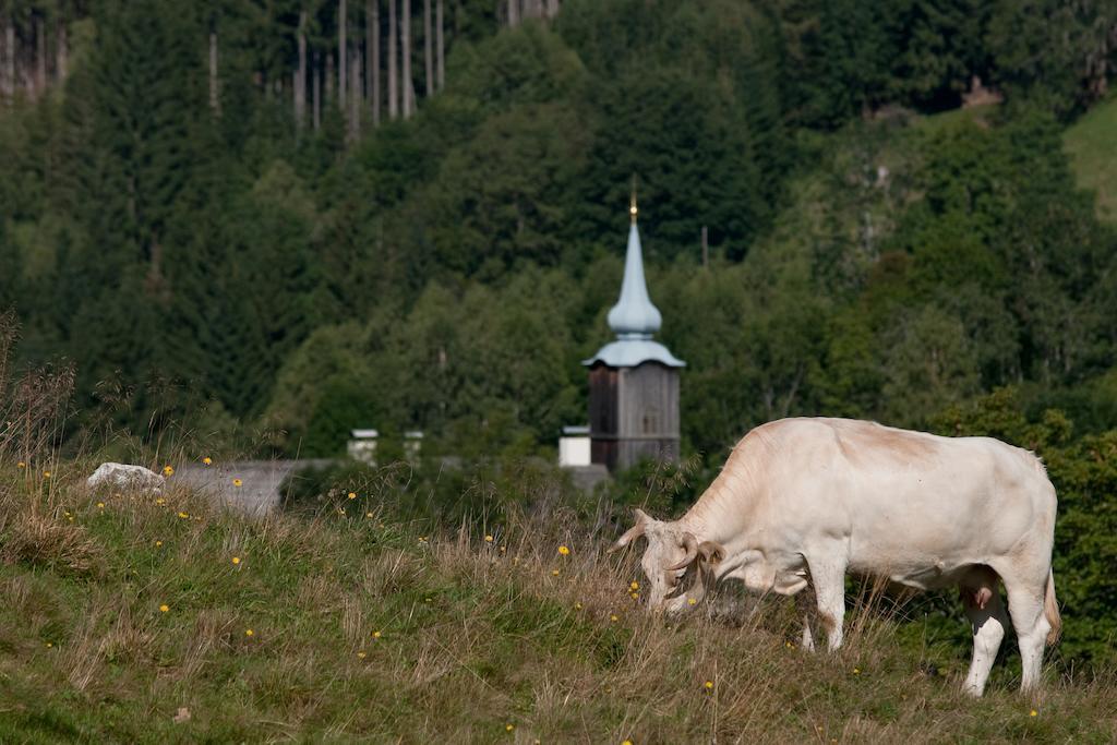 Vila Grundnerhof Arriach Exteriér fotografie