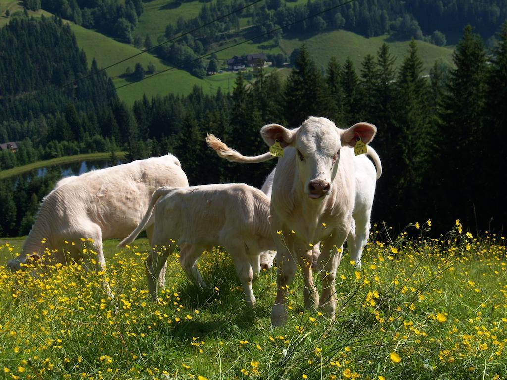 Vila Grundnerhof Arriach Exteriér fotografie